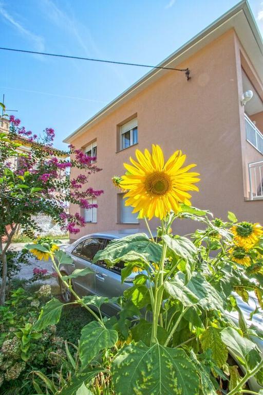 Apartman Nena ツリクヴェニツァ エクステリア 写真